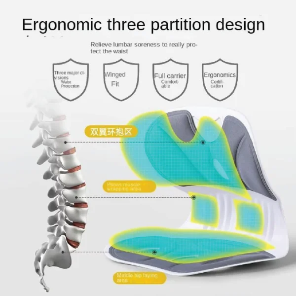 back support chair cushion ergonomic aminsuk