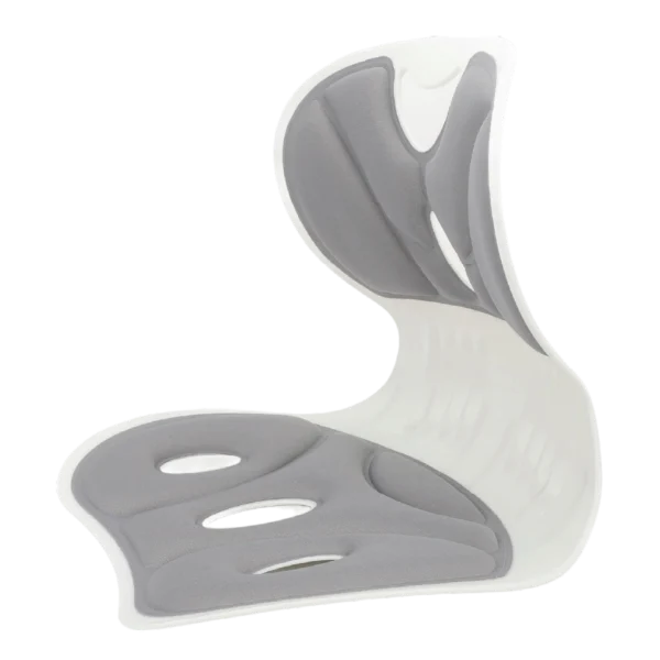 ergonomic back support cushion for office chair aminsuk