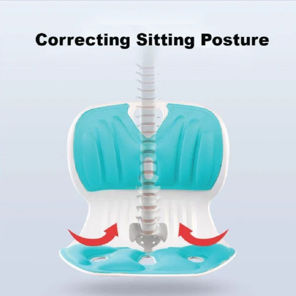 ergonomic seat cushion lumbar support aminsuk