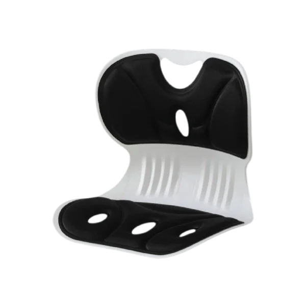 ergonomic lumbar support cushion teal design