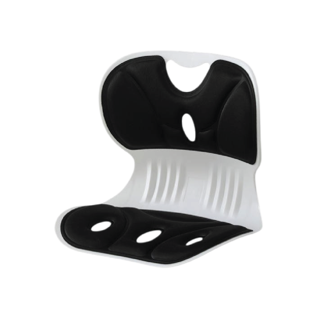 ergonomic lumbar support cushion teal design