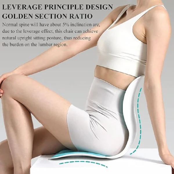 back support cushion for long sitting