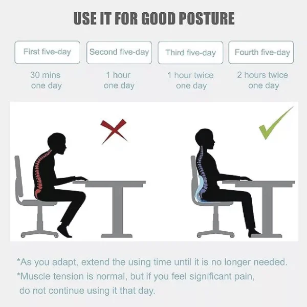 breathable ergonomic lumbar support cushion