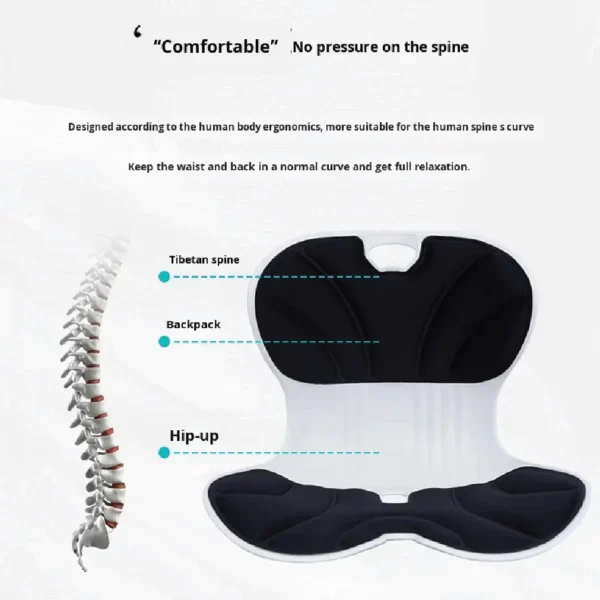 premium ergonomic back support cushion