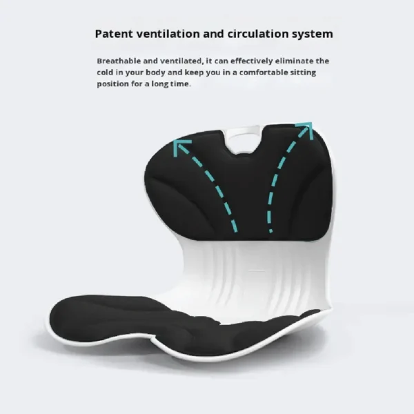 memory foam back support for office chair