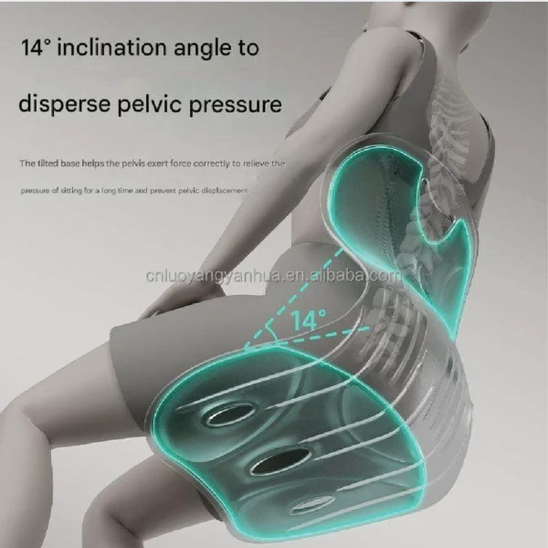 work from home lumbar support cushion